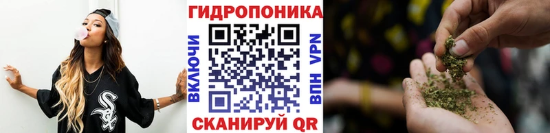 Конопля SATIVA & INDICA  закладки  Приволжск 